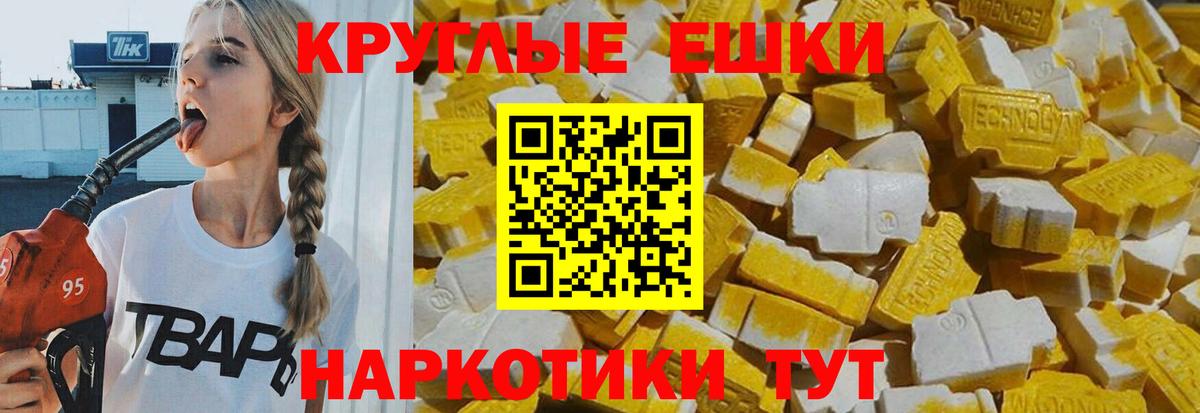 Ecstasy Philipp Plein  ЭКСТАЗИ ешки  Вход с VPN  Алексеевка 