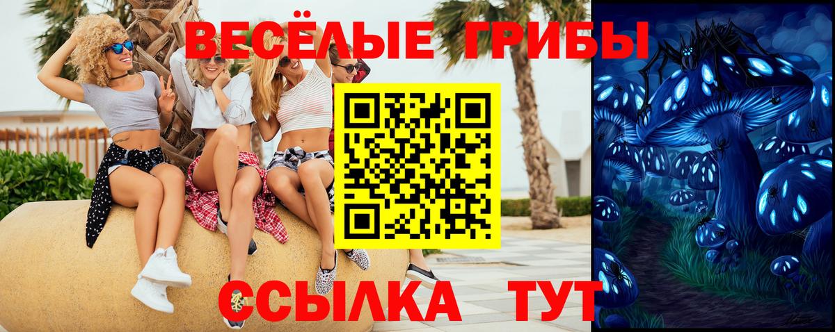 наркота  Галлюциногенные грибы ЛСД  Вход с VPN  Алексеевка  Галлюциногенные грибы ЛСД 