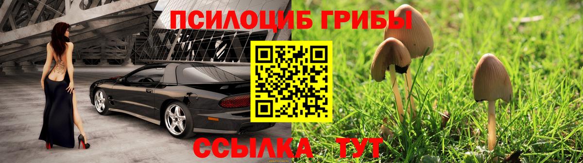 Псилоцибиновые грибы Psilocybine cubensis Алексеевка